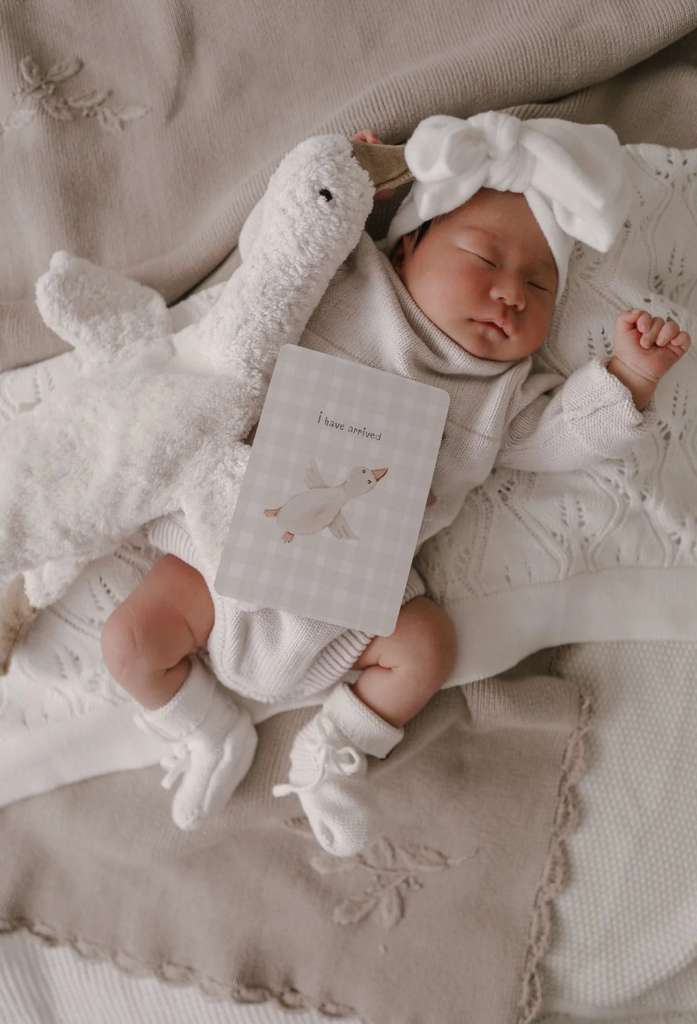 Pop ya tot Whimsical Baby Milestone Cards Husk and Will